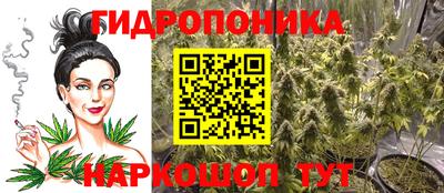 скорость Кимры