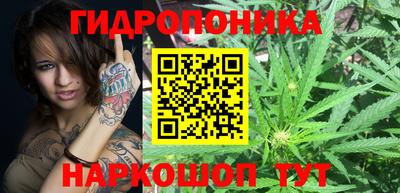 скорость Кимры