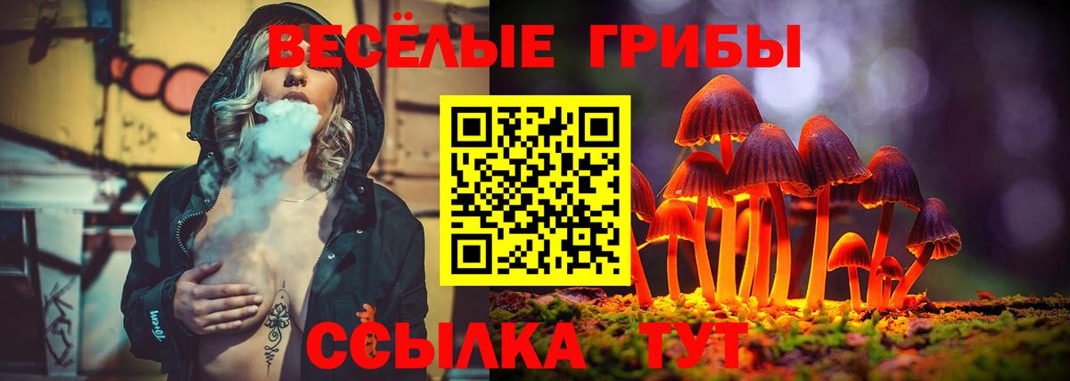 Псилоцибиновые грибы Psilocybe  Вход с VPN  Краснодар  Псилоцибиновые грибы Cubensis 